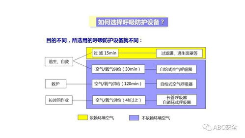 个人劳动防护用品使用 ppt